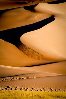 Photo:  desert wind